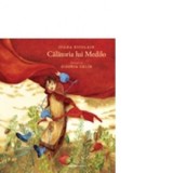 Calatoria lui Medilo - Ioana Nicolaie