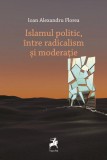 Islamul politic, intre radicalism si moderatie - Tracus Arte