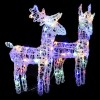 VidaXL Reni de Crăciun, 2 buc., multicolor, 80 LED-uri, acril 342681