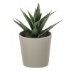 Ghiveci Decorativ Cactus Artificial, 6x8.5 cm, Culoare Taupe, Material Plastic, Oem