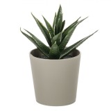 Ghiveci Decorativ Cactus Artificial, 6x8.5 cm, Culoare Taupe, Material Plastic, Oem