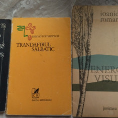 IOANID ROMANESCU: LOT 5 VOLUME DE VERSURI (1969-1994)