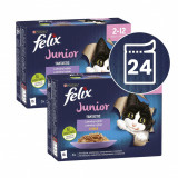 Felix Fantastic Junior selecție delicioasă 24 x 85 g