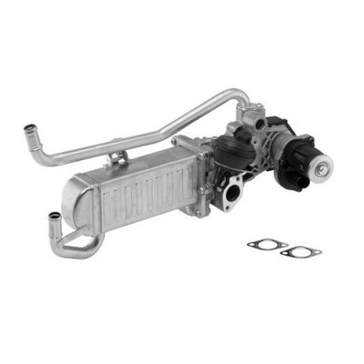 BorgWarner (Wahler) Modul-EGR OE-Version/Genuine foto