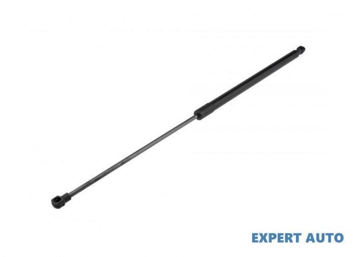 Amortizor haion BMW 3 Compact (E46) 2001-2005 #1