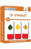 TrioPuzzle: Ce urmeaza? 3 ani+