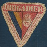 Licitație. Ecuson de Brigadier UTC - Canalul Dunăre - Marea Neagră.., Șantierul Național al Tineretului - Constanța