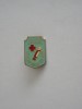 QW9 K 63 - Insigna - tematica medicina - Donator onorific - crucea rosie RSR, Romania de la 1950