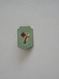 QW9 K 63 - Insigna - tematica medicina - Donator onorific - crucea rosie RSR, Romania de la 1950