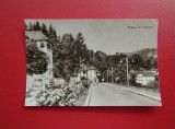 CARTE POSTALA - RPR - VEDERE DIN OLANESTI
