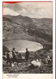 CPIB 17482 CARTE POSTALA - MUNTII RETEZAT. LACUL ZANOAGA, RPR, Necirculata, Fotografie