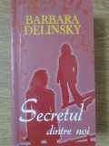 SECRETUL DINTRE NOI-BARBARA DELINSKY-234407