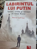 Steve LeVine - Labirintul lui Putin. Spioni, crime si teroare in noua Rusie