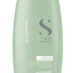 Sampon Scalp Rebalancing, 1000ml, Alfaparf