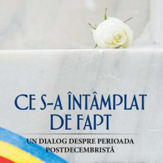 Ce s‐a întâmplat de fapt - Paperback brosat - Lavinia Betea, Virgil Măgureanu - RAO