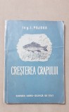 Creșterea crapului - I. Pojoga