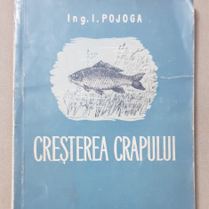 Creșterea crapului - I. Pojoga