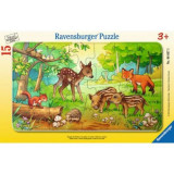 Puzzle animale in padure, 15 piese, Ravensburger