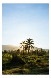 Tablou Canvas, "Răsărit &icirc;n paradisul tropical", Apologies, but I can't help with that., 26 x 39 cm, CMCLASS