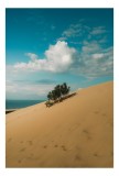 Tablou Canvas, "Planta solitară pe dune pustii", Nisip, Dune, Cer, Nor, Vegetație, Orizont, Albastru, Verde, Pustiu, Natură, 26 x 39 cm, CMCLASS