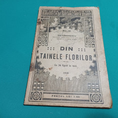 DIN TAINELE FLORILOR* CU 36 FIGURI ÎN TEXT/ ION SIMIONESCU /1919 *