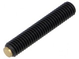 Şurub de presiune M6 Pas 1 Alamă 32mm - Elem.montaj