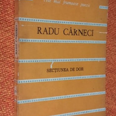 Sectiunea de dor - Radu Carneci, colectia Cele mai frumoase poezii