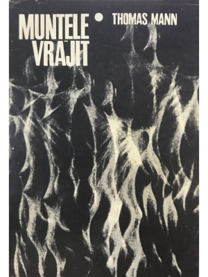 Thomas Mann - Muntele vrăjit (editia 1967) foto