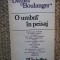 Daniel Boulanger - O umbra in peisaj