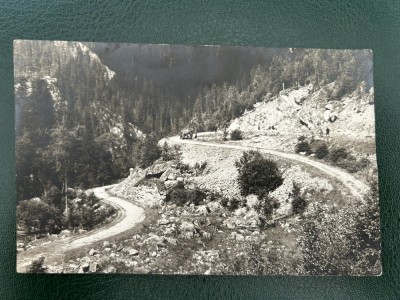 AKVDE24 - Reghin - Borsec - Fotograf al curtii regale foto