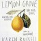 Vampires in the Lemon Grove: And Other Stories