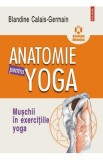 Anatomie pentru yoga - Blandine Calais-Germain