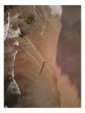 Tablou Canvas, "Umbra solitară pe plajă nisipoasă", Valuri, Nisip, Umbră, Singurătate, Ocean, Tranquilitate, Liniște, Contrast, Textură, Perspectivă.,