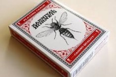 Karnival Hornets foto