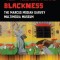 Representing Blackness: The Marcus Mosiah Garvey Multimedia Museum