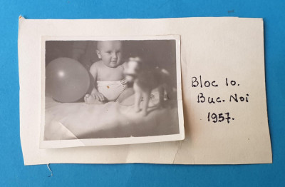 Fotografie poza din album de familie, anul 1957 - bebe cu jucarie - Calut foto