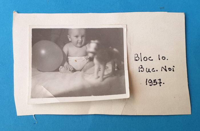 Fotografie poza din album de familie, anul 1957 - bebe cu jucarie - Calut