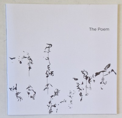 THE POEM by ANDREEA ALBANI , CATALOG DE EXPOZITIE , 2016 foto