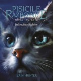 Pisicile Razboinice. Noua profetie. Cartea a X-a: Stralucirea stelelor (volumul 10) - Erin Hunter