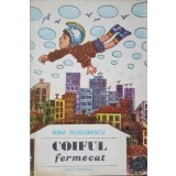 COIFUL FERMECAT-IRINA TEODORESCU-236848