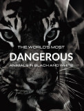 The World&#039;s most DANGEROUS ANIMALS in Black and White: Black-and-white photo album with 45 photographs and captions