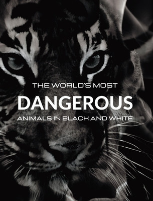 The World&amp;#039;s most DANGEROUS ANIMALS in Black and White: Black-and-white photo album with 45 photographs and captions foto