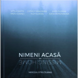 Nimeni acasa - Mircea Struteanu