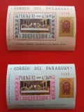 PARAGUAY, PICTURI - COLIȚE PERF./IMPERF. MNH, Nestampilat