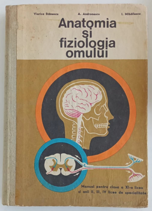 V. Stanescu - Anatomia si fiziologia omului - Manual pentru clasa a XI-a