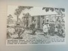 Cartofilie: Southwold Express - Carte Postala Umor BNK CP - NOUA, necirculata
