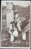 Carte Postala, Romania, tanara cu cobilite si barbat cu caciula de oaie, 1918