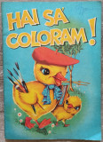 Hai sa coloram! - Constantinescu Adrian, Stefanescu Vasile