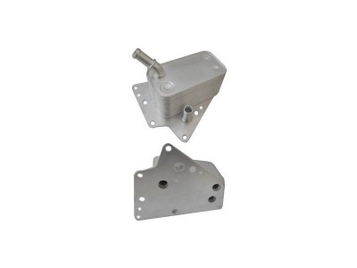 Radiator ulei motor, Termoflot Cadillac Bls, Bls Wagon, Fiat Croma (194), Opel Astra H (L48), Signum, Vectra C, Zafira B (A05), Saab 9-3 (Ys3f) foto