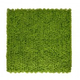 Perete verde din plastic cu mușchi 50x50 cm
